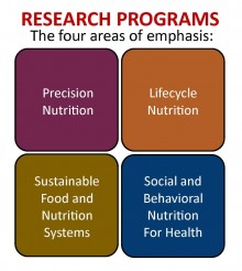 image depicts 4 equal sections as cubes naming the 4 areas of DNS research: top left cube says Precision Nutrition; top right cube says Lifecycle Nutrition; bottom left cube says Sustainable food and nutrition systems for health; and bottom right cube says social and behavioral nutrition
